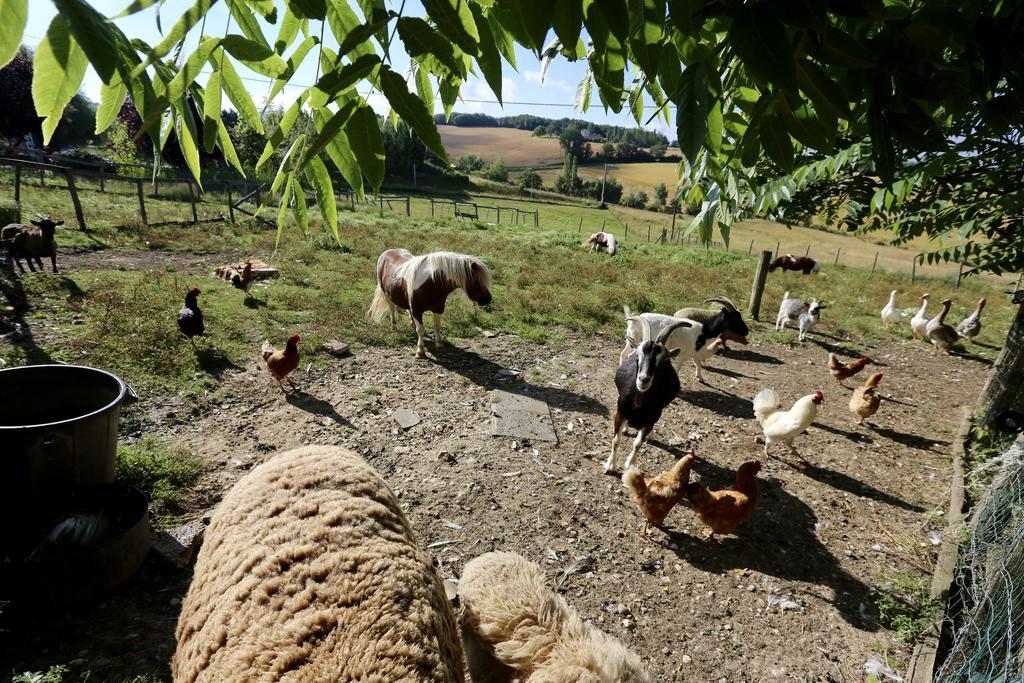 La Ferme Couderc Villa Castelnaud-de-Gratecambe Eksteriør bilde