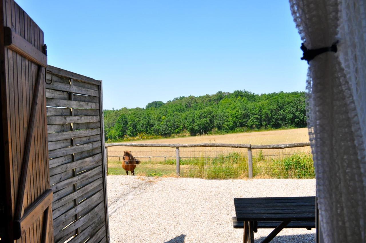 La Ferme Couderc Villa Castelnaud-de-Gratecambe Eksteriør bilde